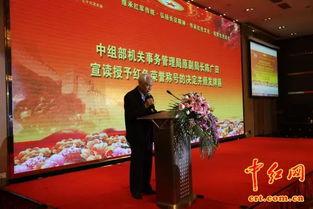 中国当今最红网红,揭秘中国当今最具影响力的网络红人