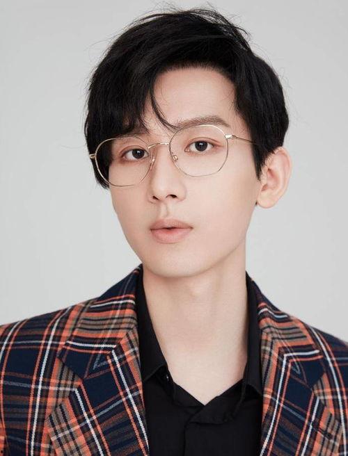 毅的明星,揭秘明星毅的璀璨人生