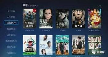 共济会 娱乐节目